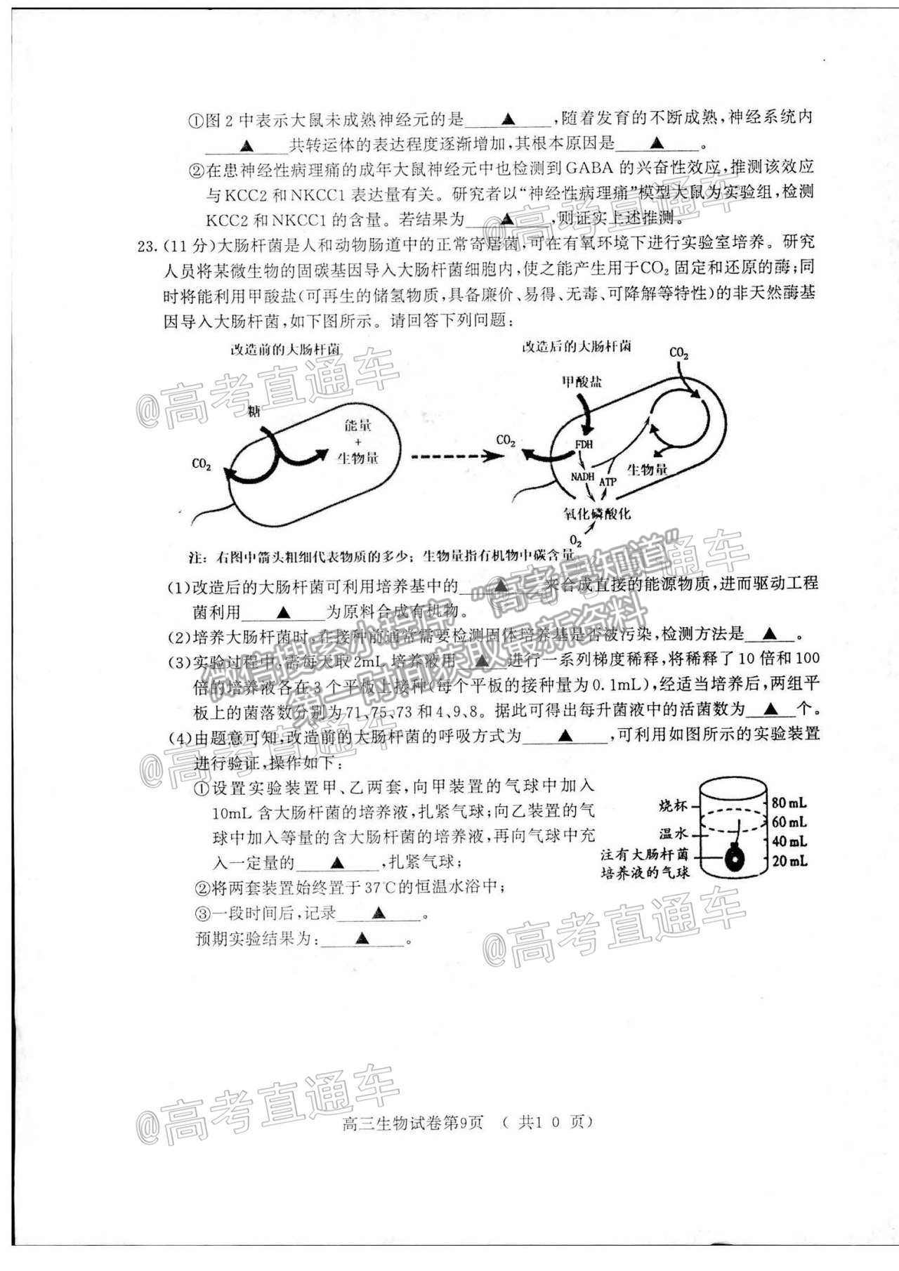 2021南京三模生物試題及參考答案