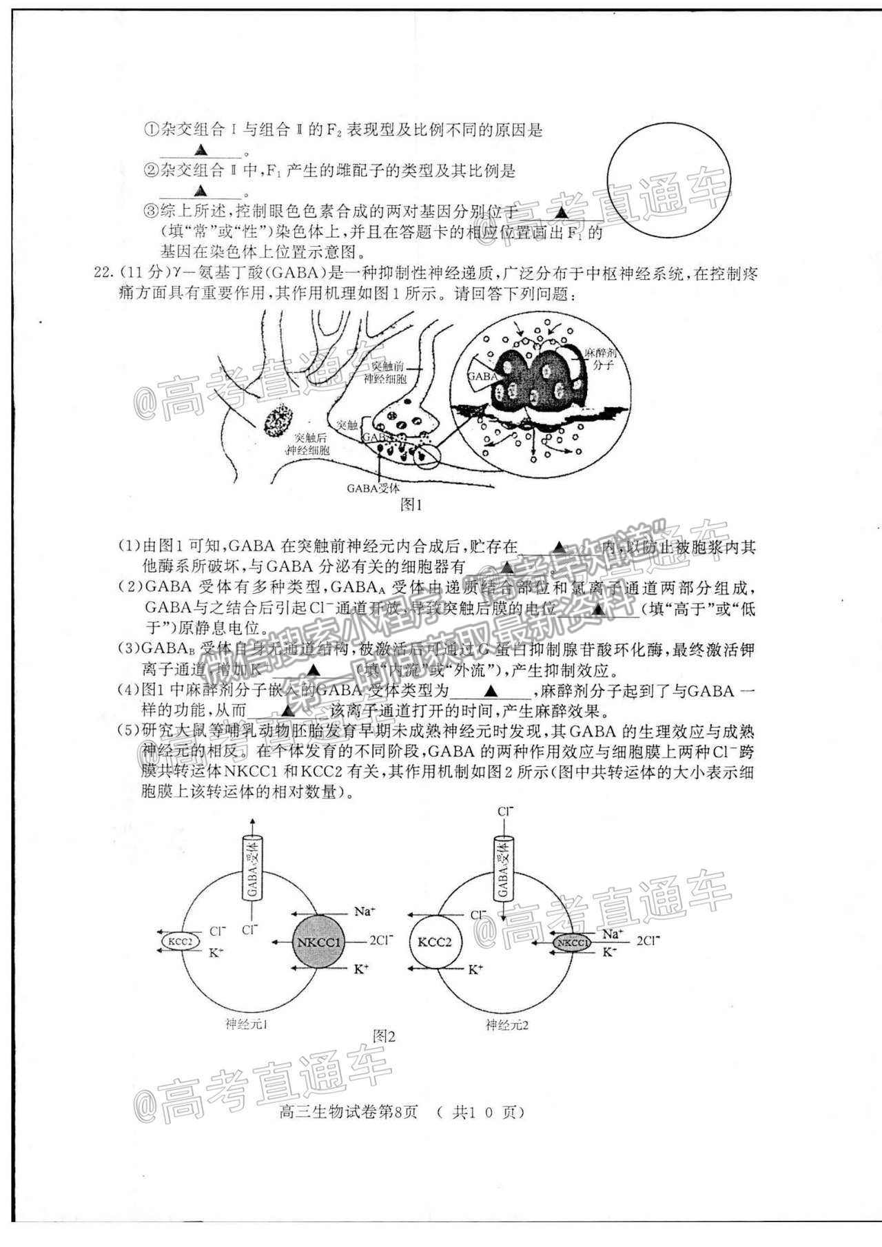 2021南京三模生物試題及參考答案