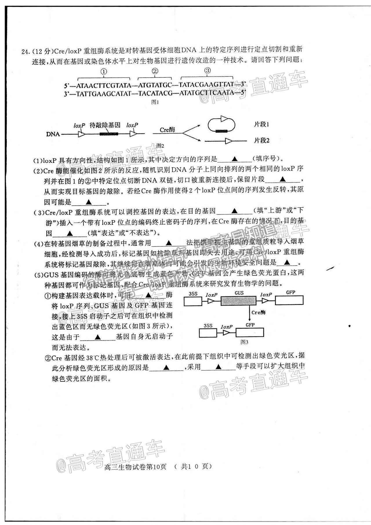 2021南京三模生物試題及參考答案