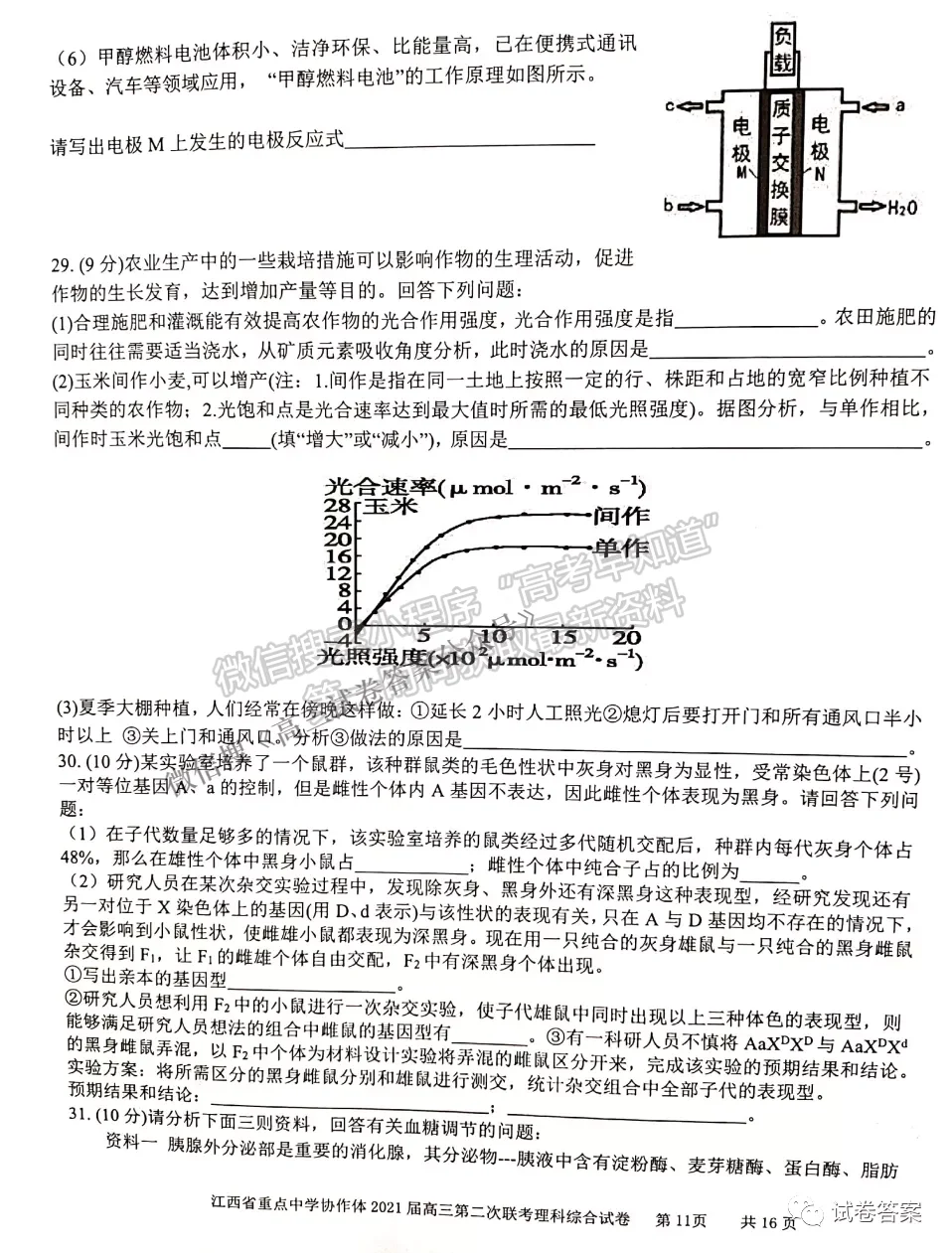 2021江西省重點(diǎn)中學(xué)協(xié)作體二聯(lián)理綜試題及參考答案