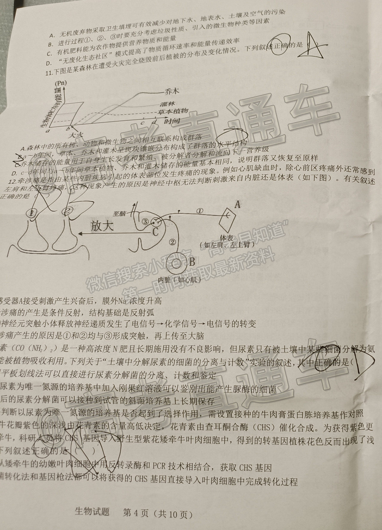 2021山東中學(xué)聯(lián)盟高三考前熱身押題生物試題及參考答案