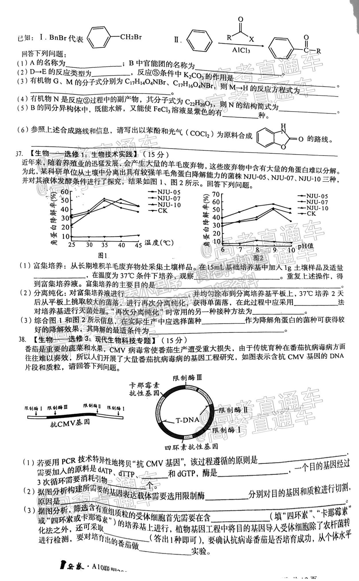 2021安徽A10聯(lián)盟聯(lián)考最后一卷理綜試題及參考答案