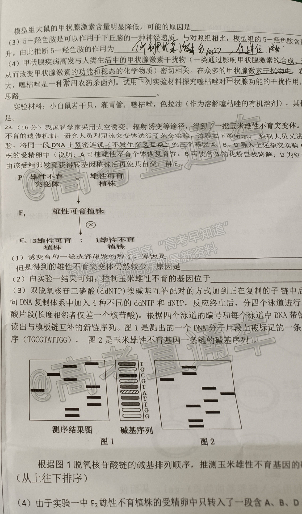 2021山東中學聯盟高三考前熱身押題生物試題及參考答案