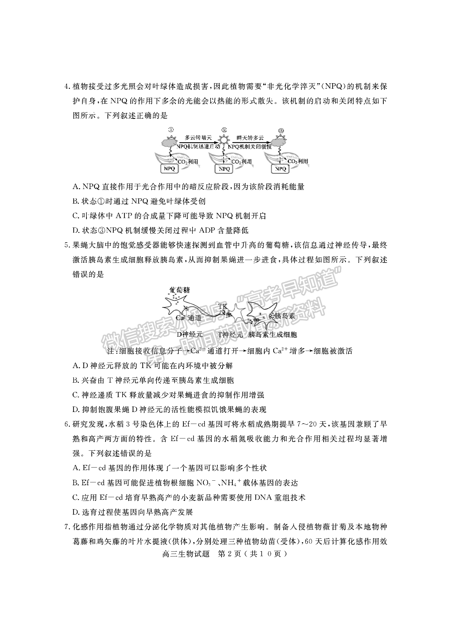 2021濟寧二模生物試題及參考答案