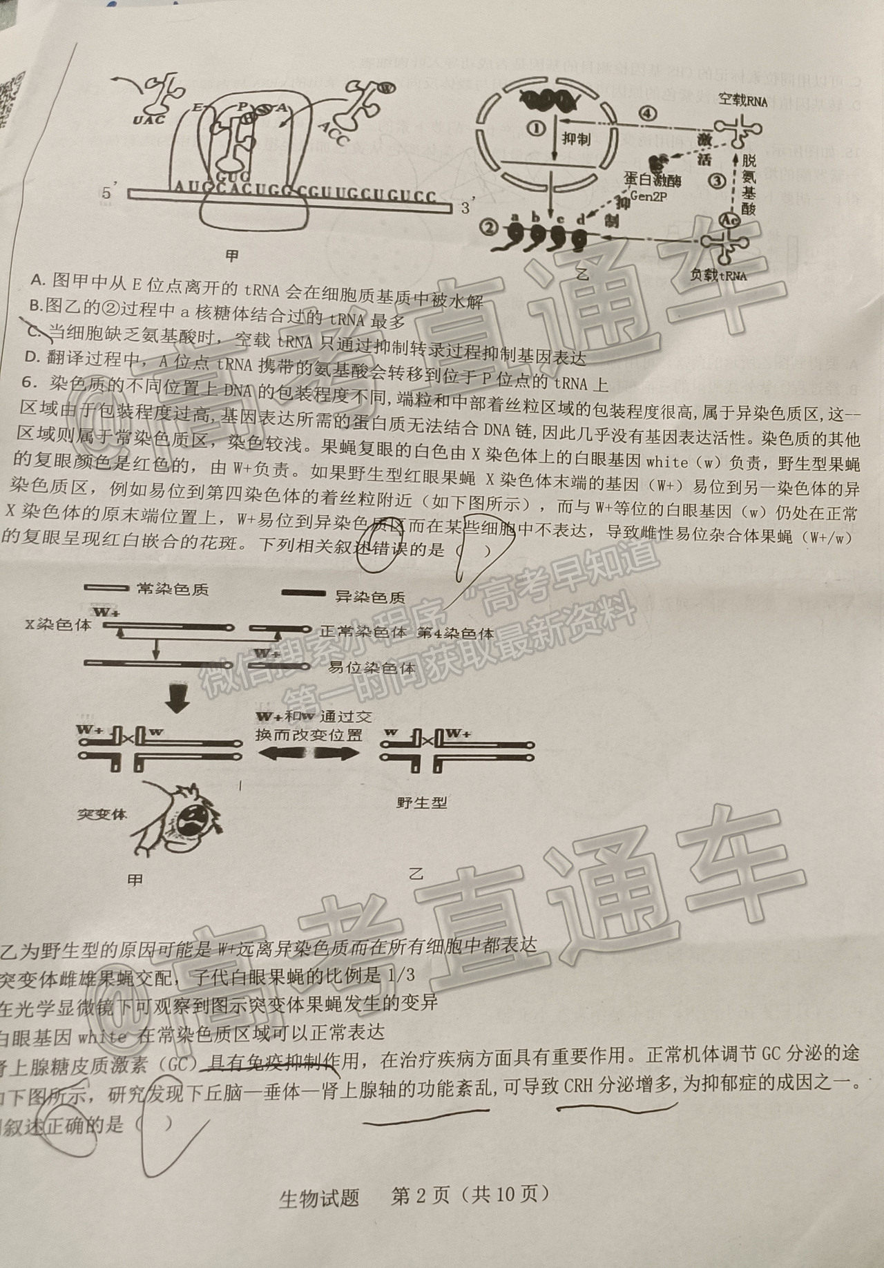 2021山東中學(xué)聯(lián)盟高三考前熱身押題生物試題及參考答案