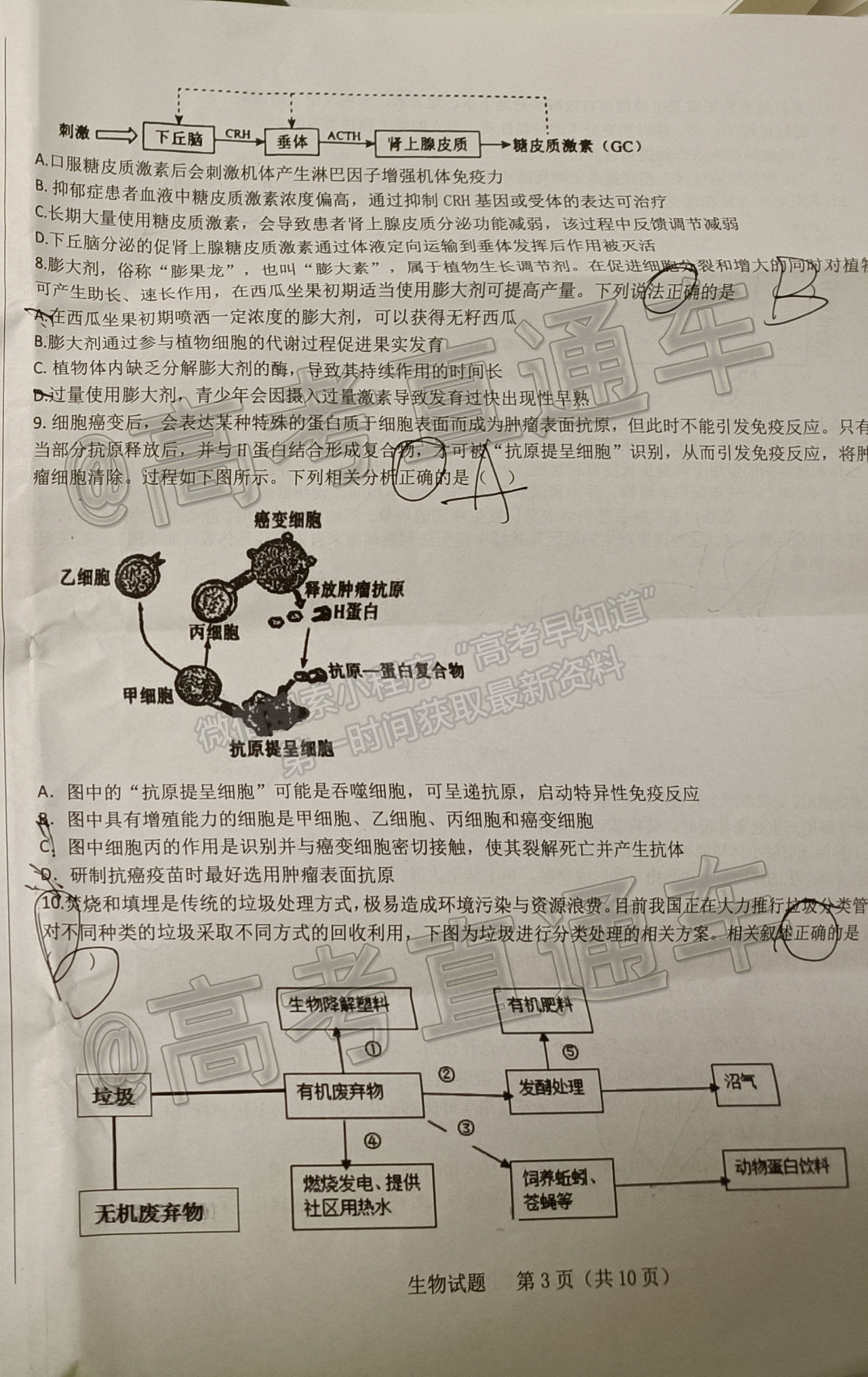 2021山東中學(xué)聯(lián)盟高三考前熱身押題生物試題及參考答案