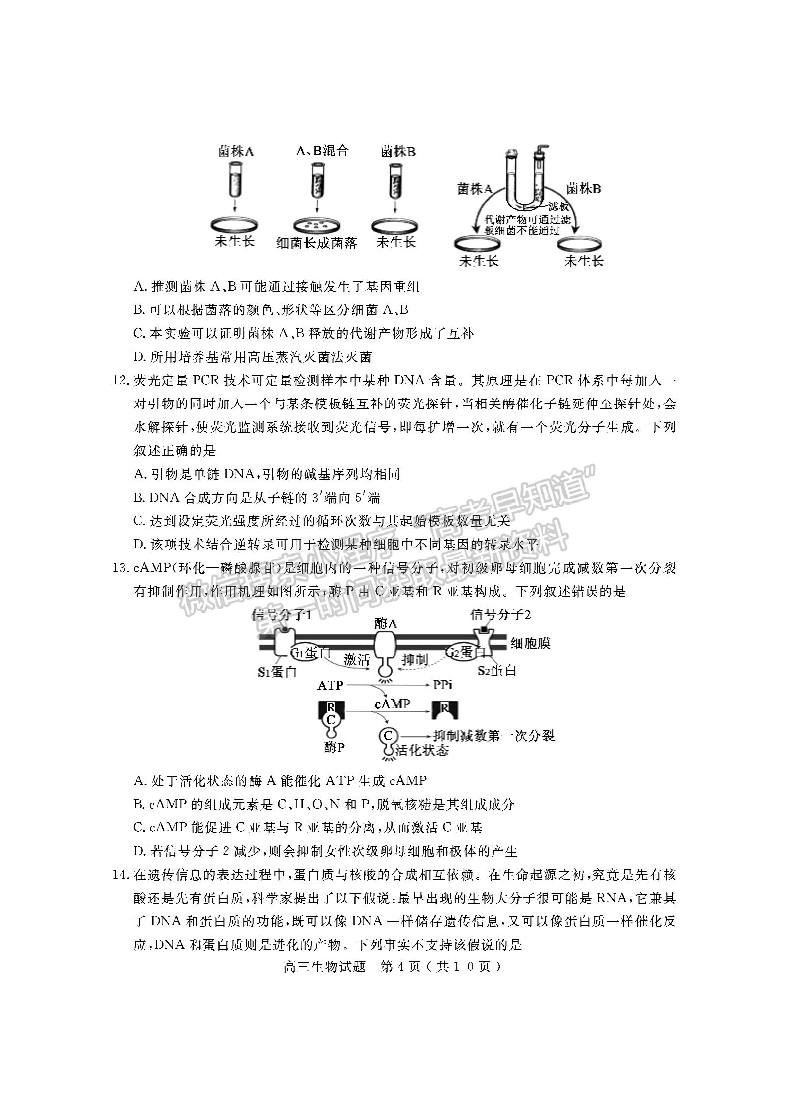 2021濟寧二模生物試題及參考答案