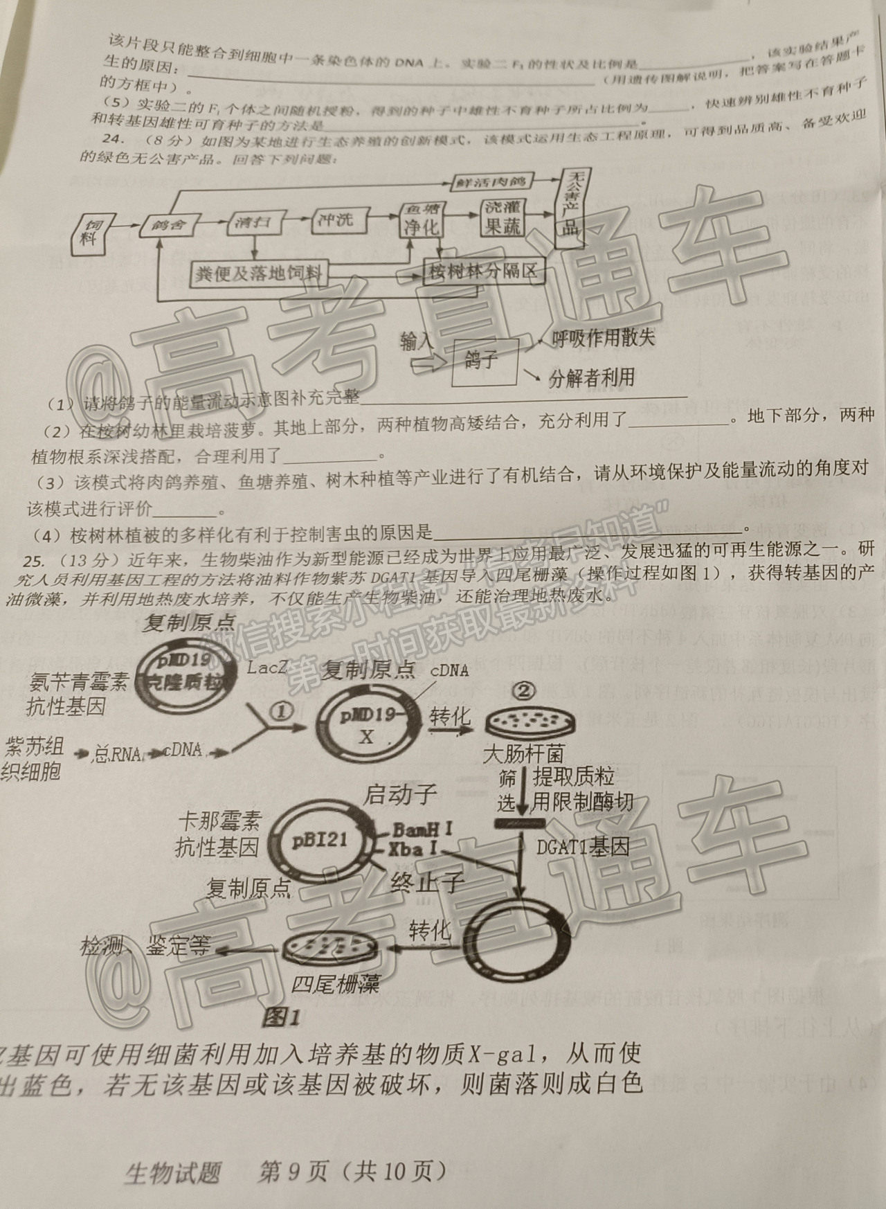 2021山東中學(xué)聯(lián)盟高三考前熱身押題生物試題及參考答案