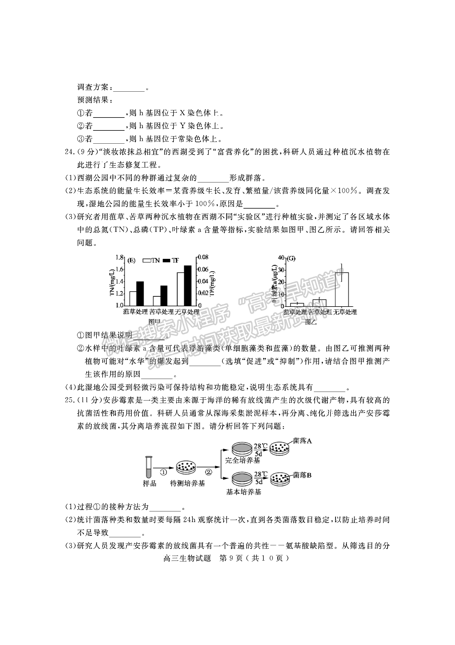 2021濟(jì)寧二模生物試題及參考答案