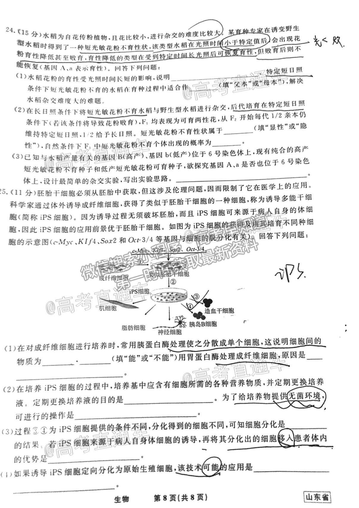 2021泰安四模生物試題及參考答案