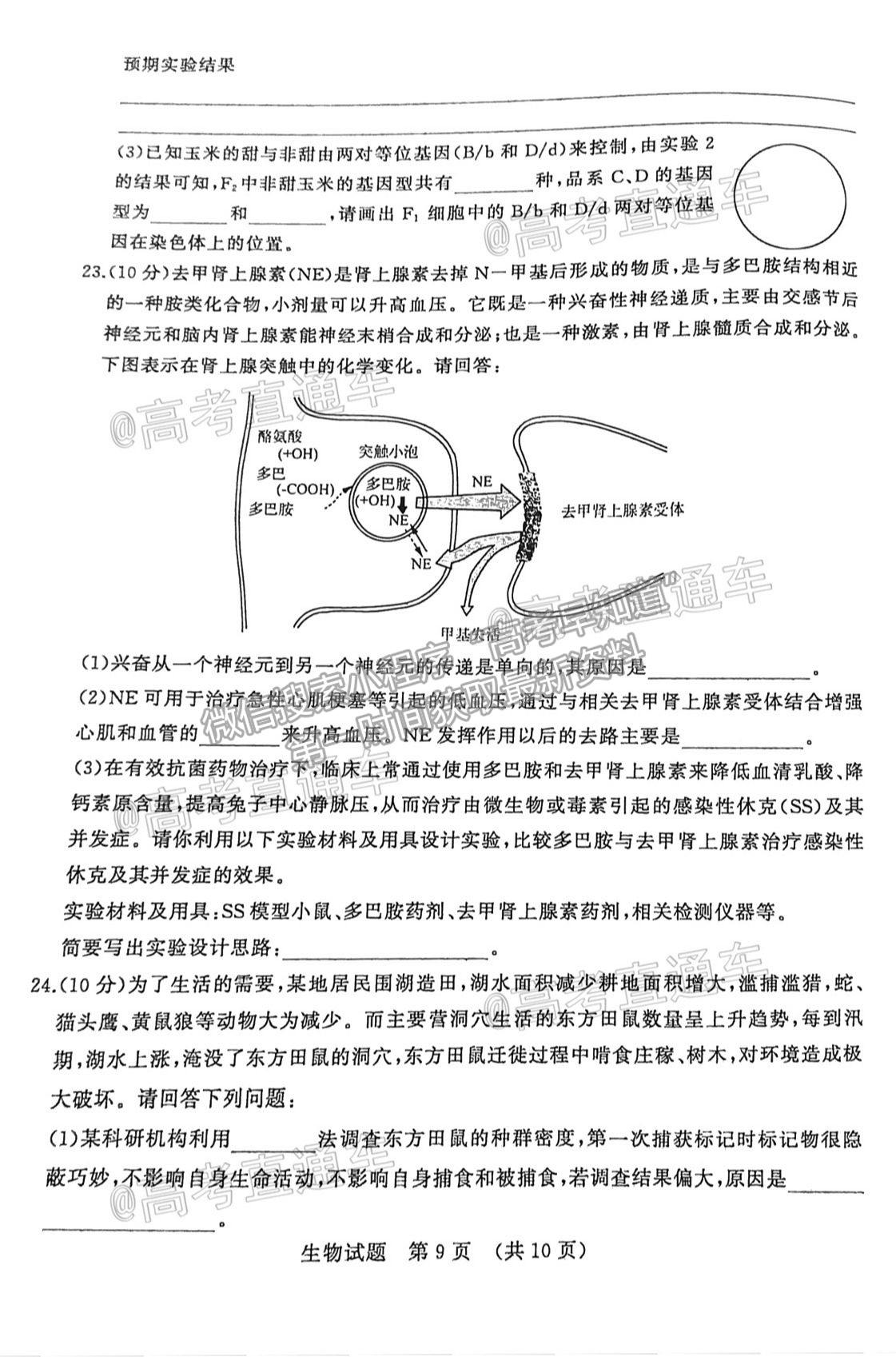 2021濟(jì)南二模生物試題及參考答案