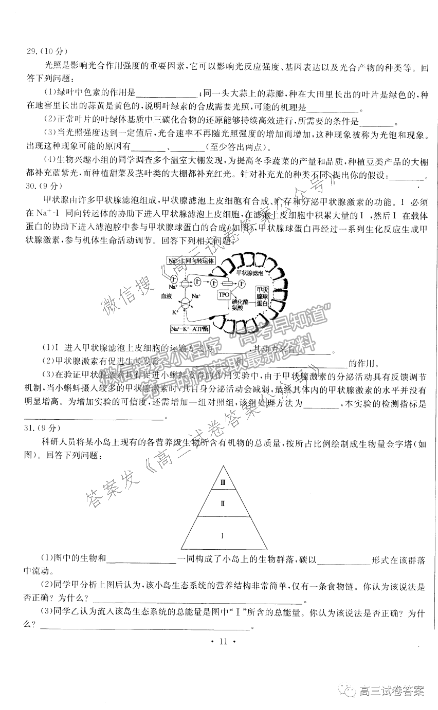 2021衡水金卷先享題壓軸卷理綜試題及參考答案