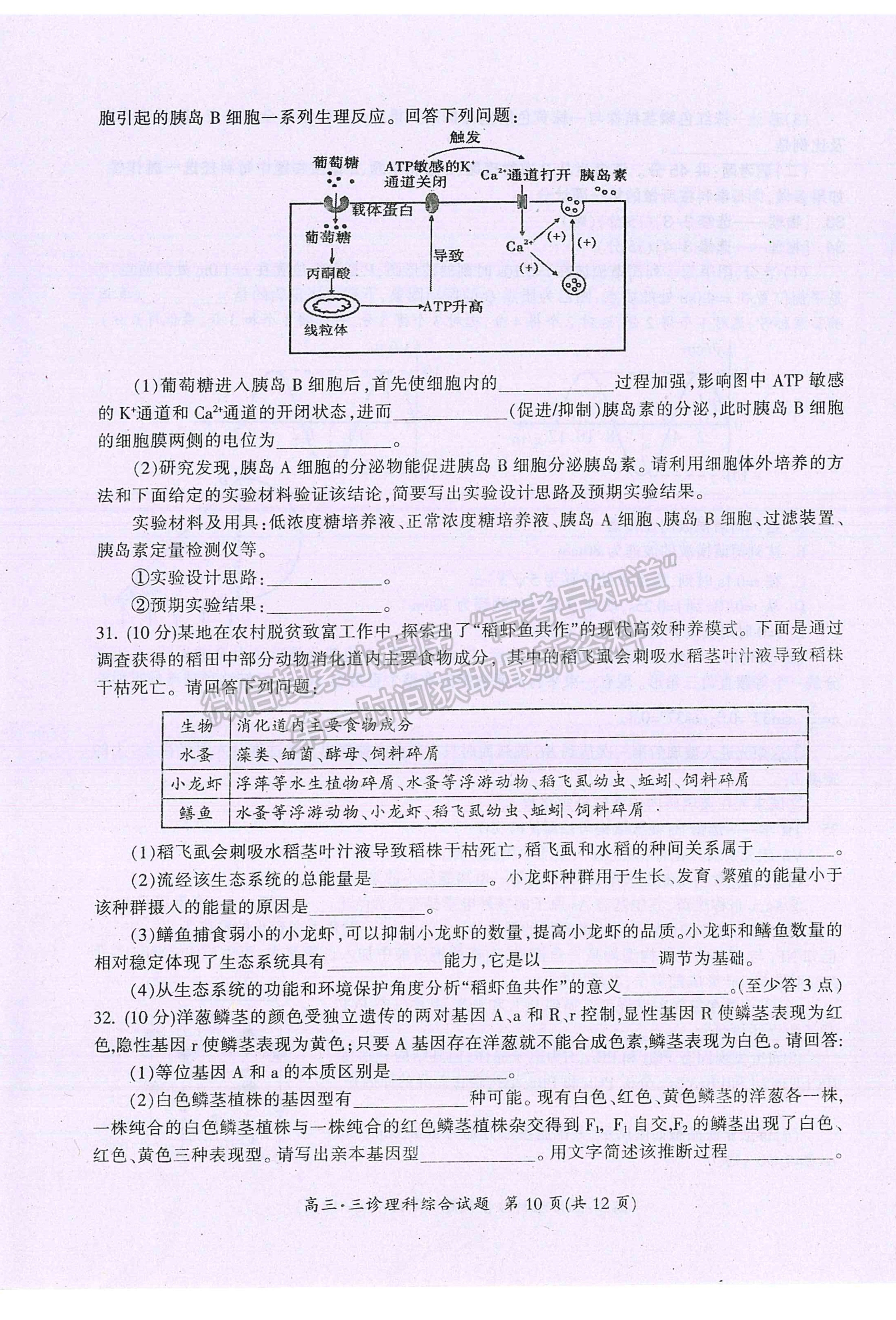 2021廣元第三次高考適應(yīng)性統(tǒng)考理綜試題及參考答案