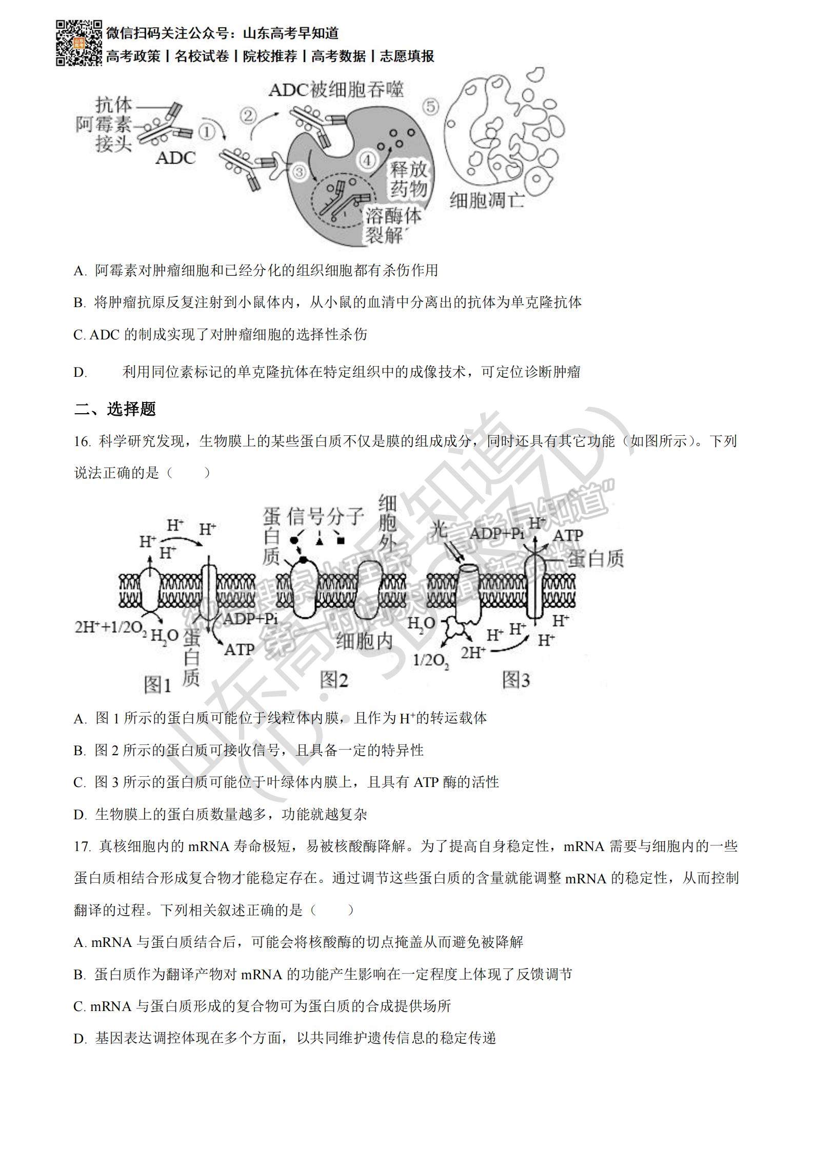 2021濰坊二模試題及參考答案   生物