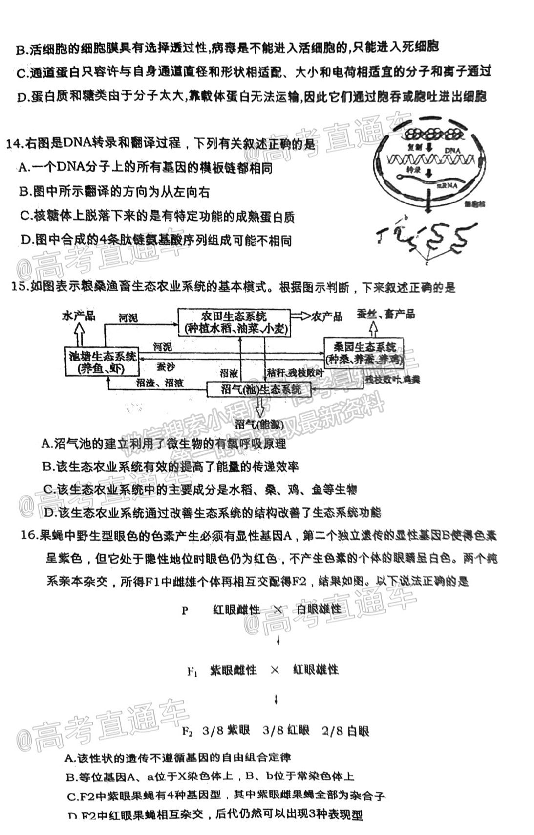 2021汕頭三模生物試題及參考答案