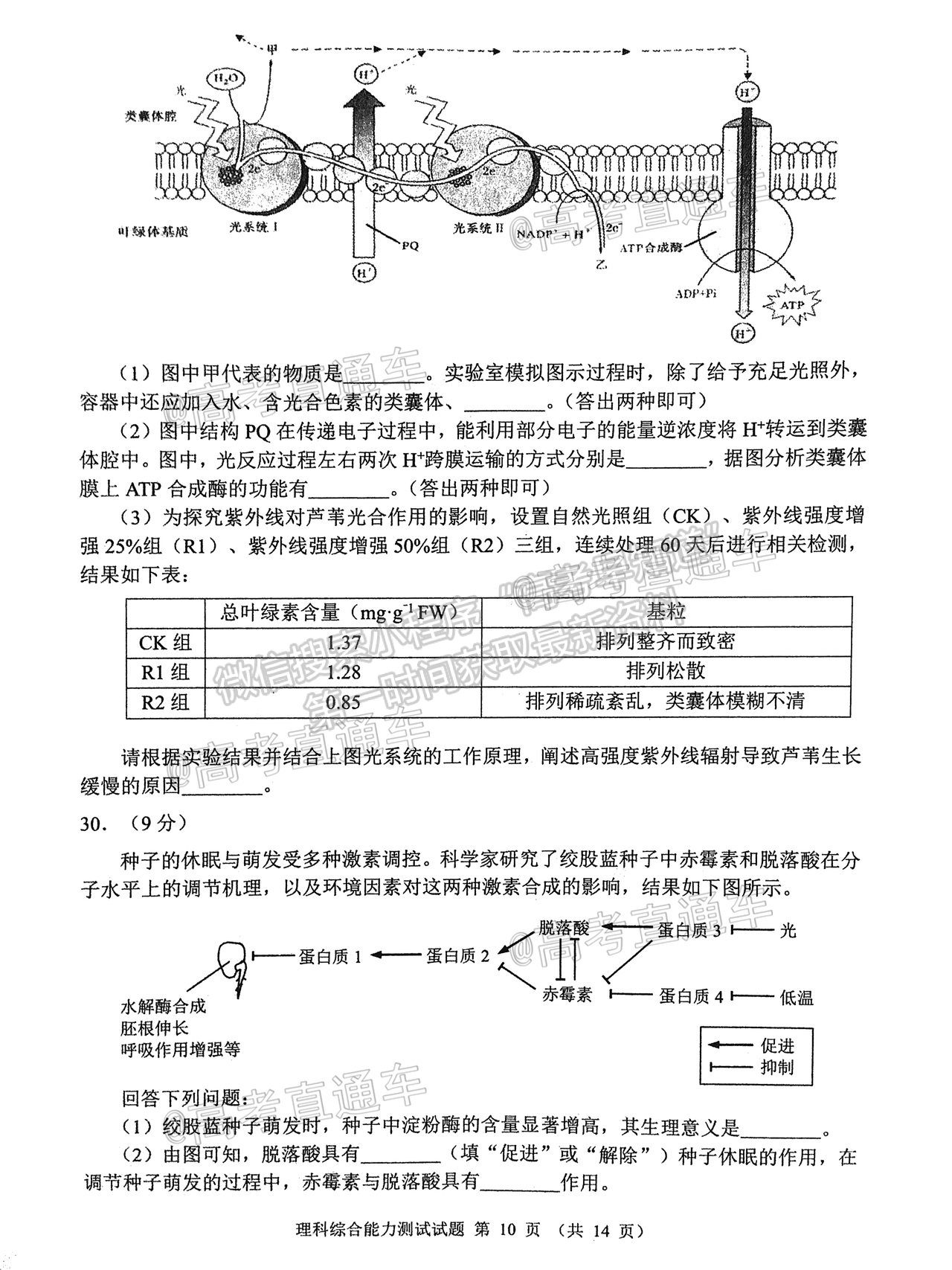 2021四川大數據高三5月聯考理綜試題及參考答案