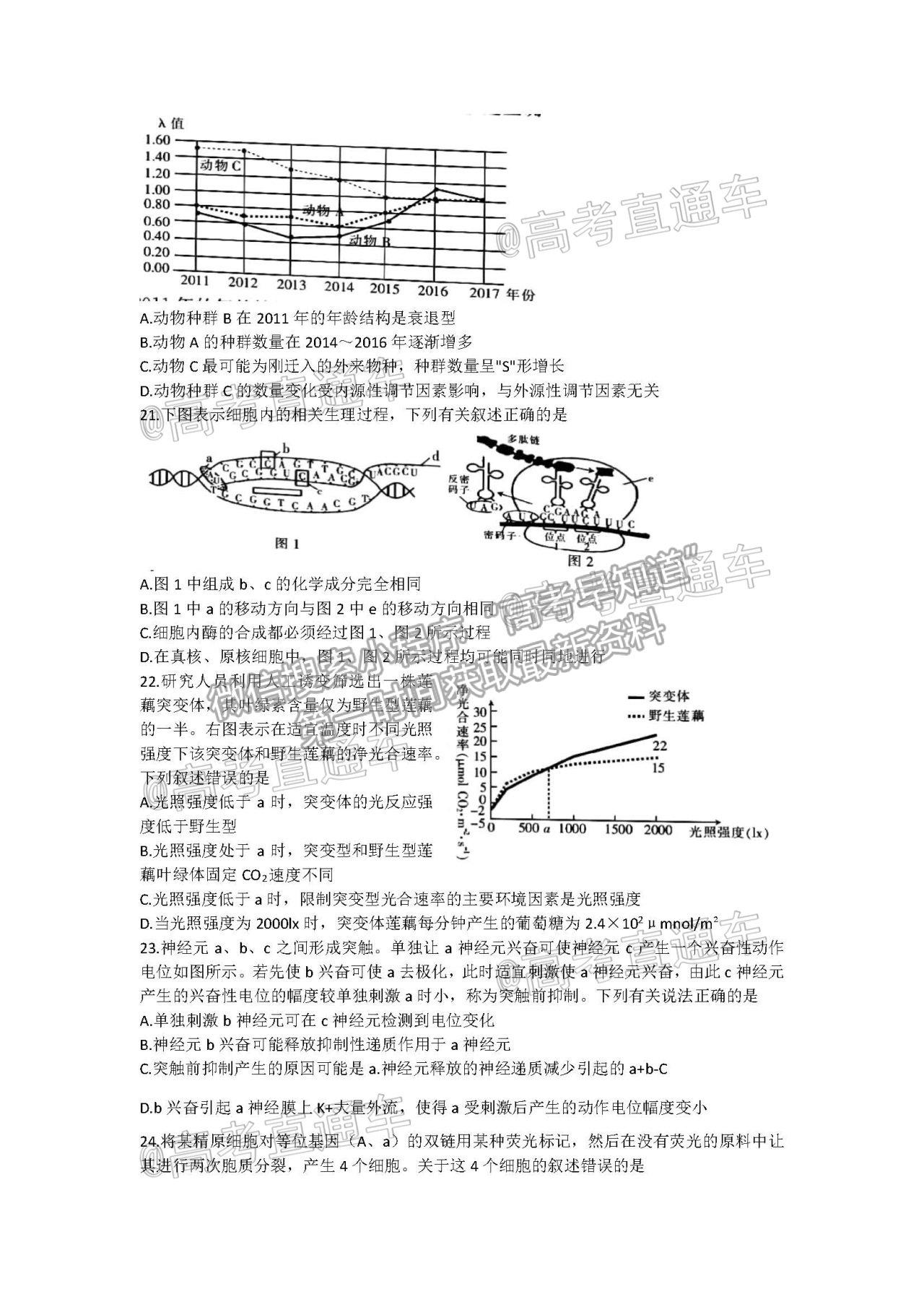 2021浙江強基聯(lián)盟高三5月統(tǒng)測生物試題及參考答案