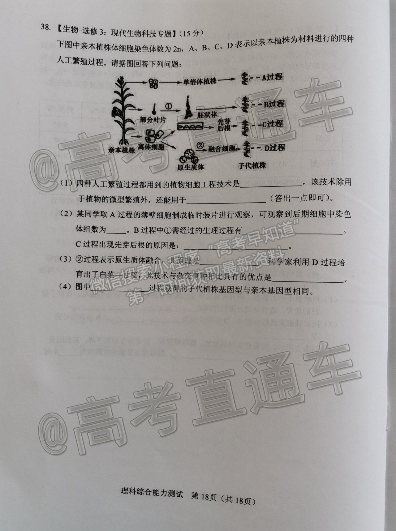 2021寧夏石嘴山高三下學(xué)期質(zhì)檢理綜試題及參考答案