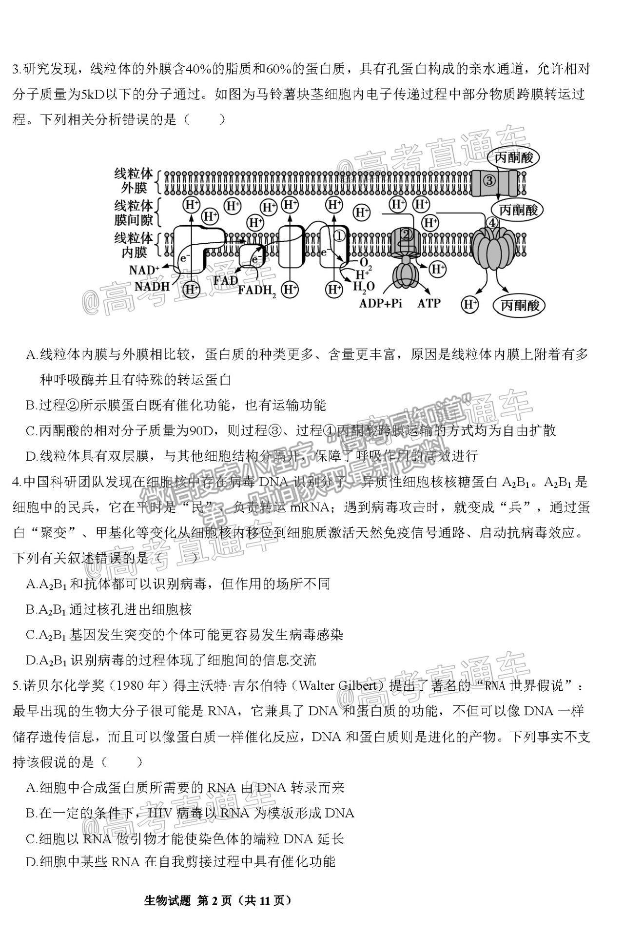 2021邯鄲三模生物試題及參考答案