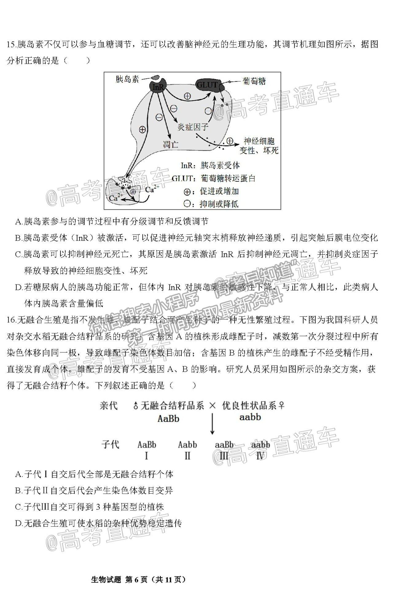 2021邯鄲三模生物試題及參考答案