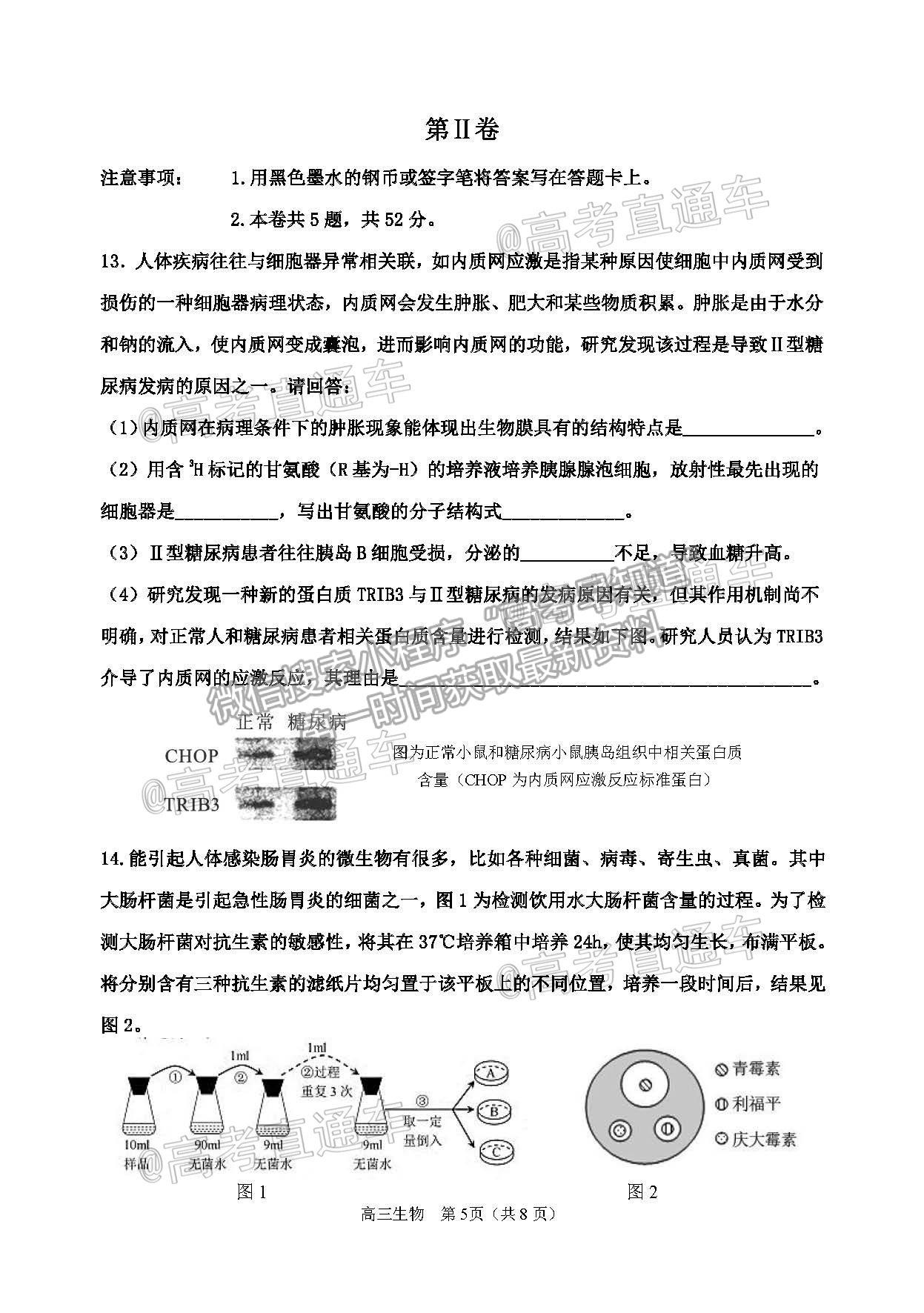 2021天津紅橋區(qū)高三二模生物試題及參考答案