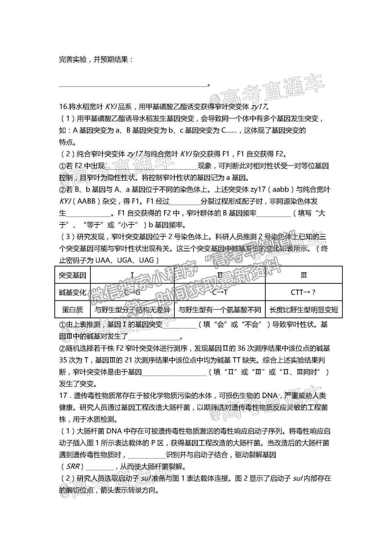 2021天津一中高三第五次月考生物試題及參考答案