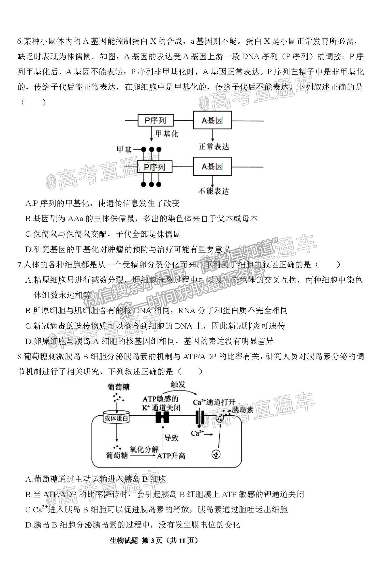 2021邯鄲三模生物試題及參考答案