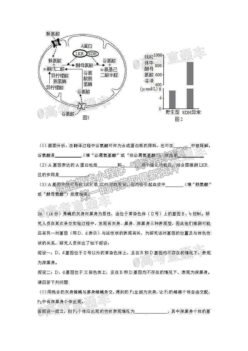 2021武漢蔡甸漢陽(yáng)一中一模生物試題及參考答案