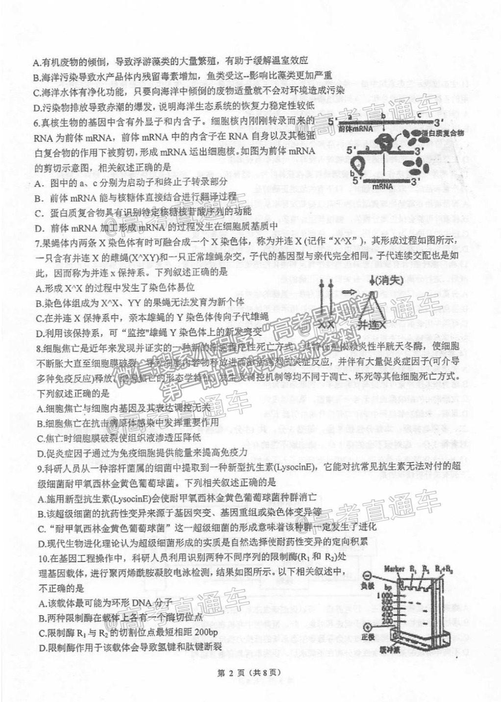 2021泰州高三聯考生物試題及參考答案