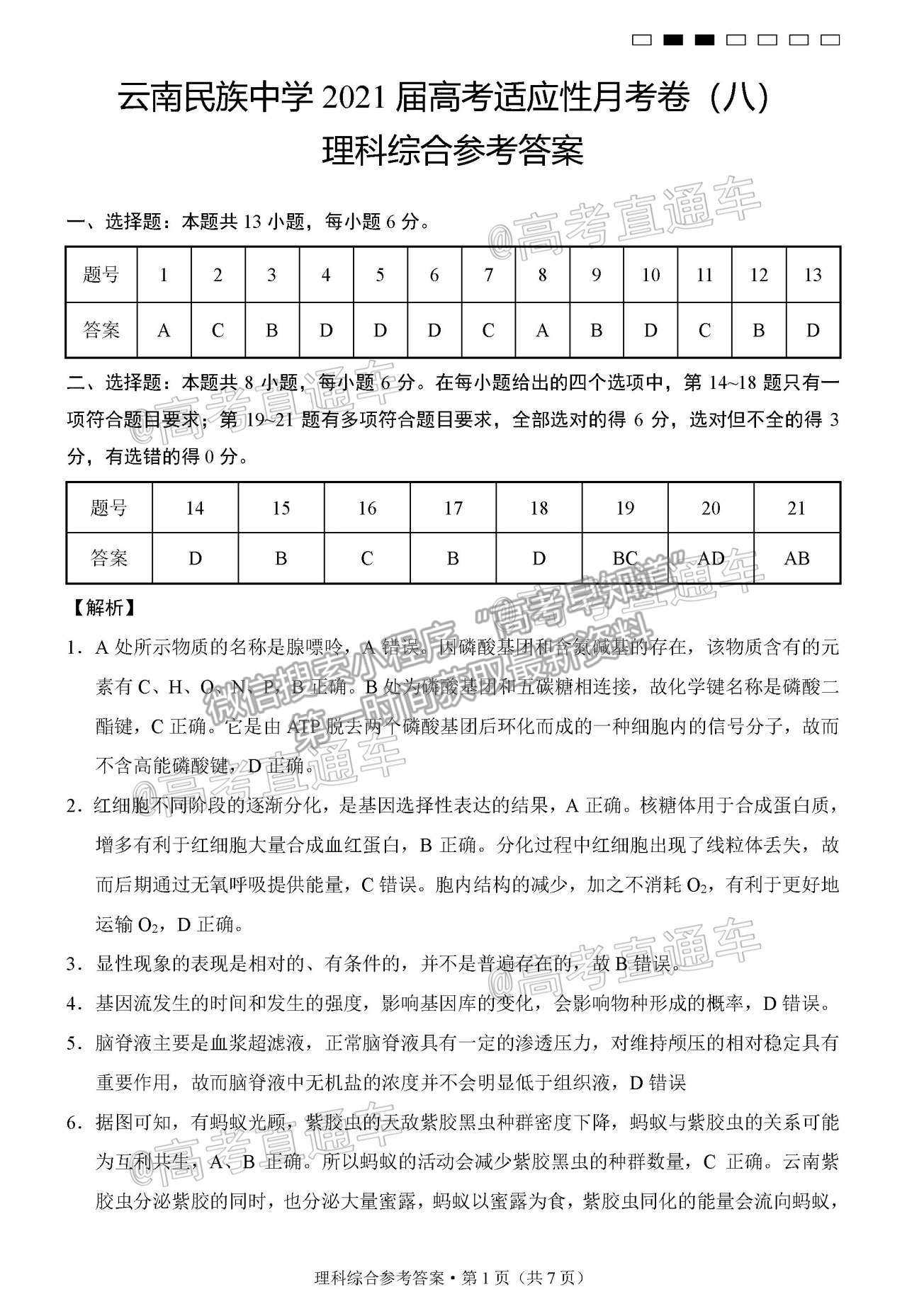 2021云南民族中學(xué)月考八理綜試題及參考答案