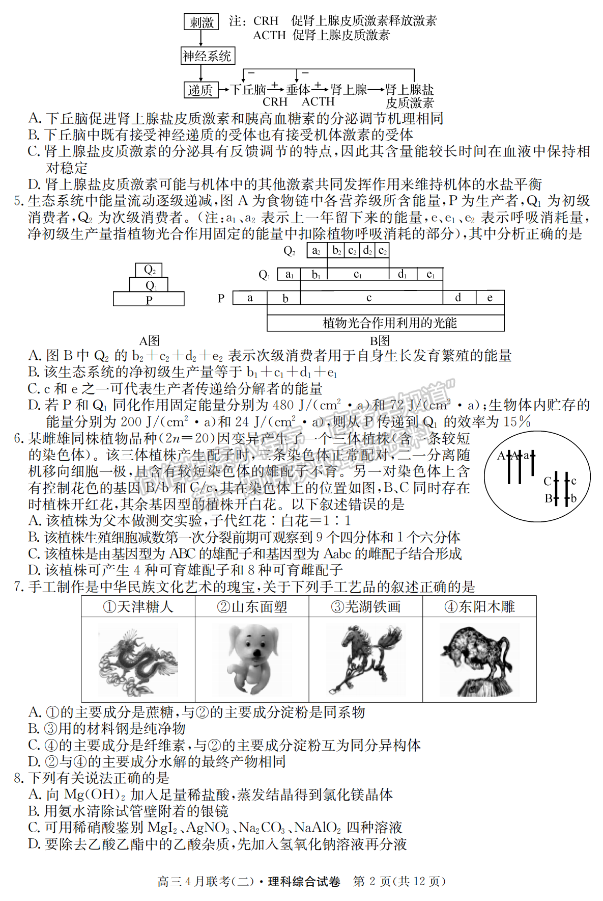 2021名校聯(lián)盟學年高三4月聯(lián)考（二）理綜試題及參考答案