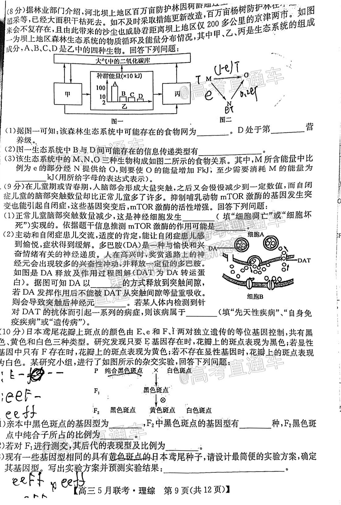 2021皖南八校臨門一卷理綜及參考答案 