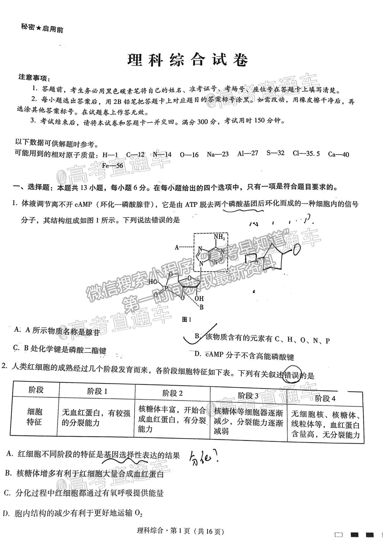 2021云南民族中學月考八理綜試題及參考答案