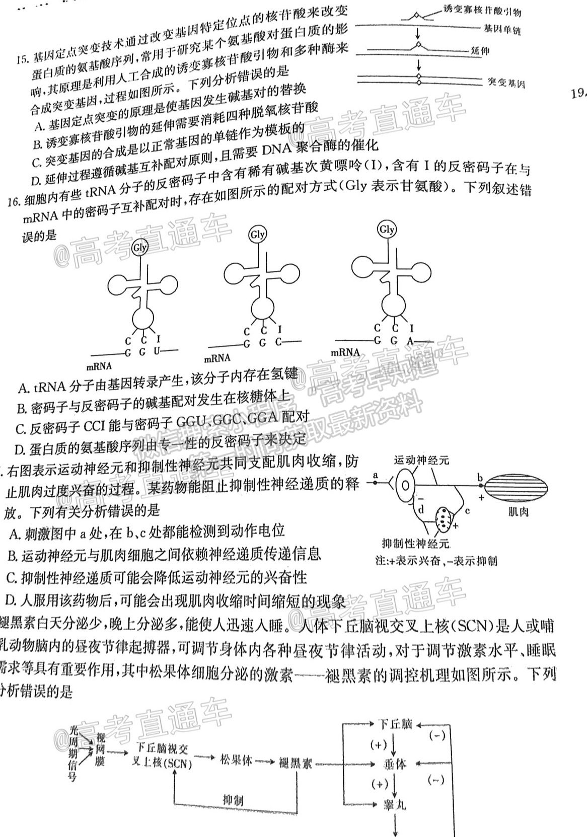 2021湖北高三5月聯(lián)考生物試題及參考答案