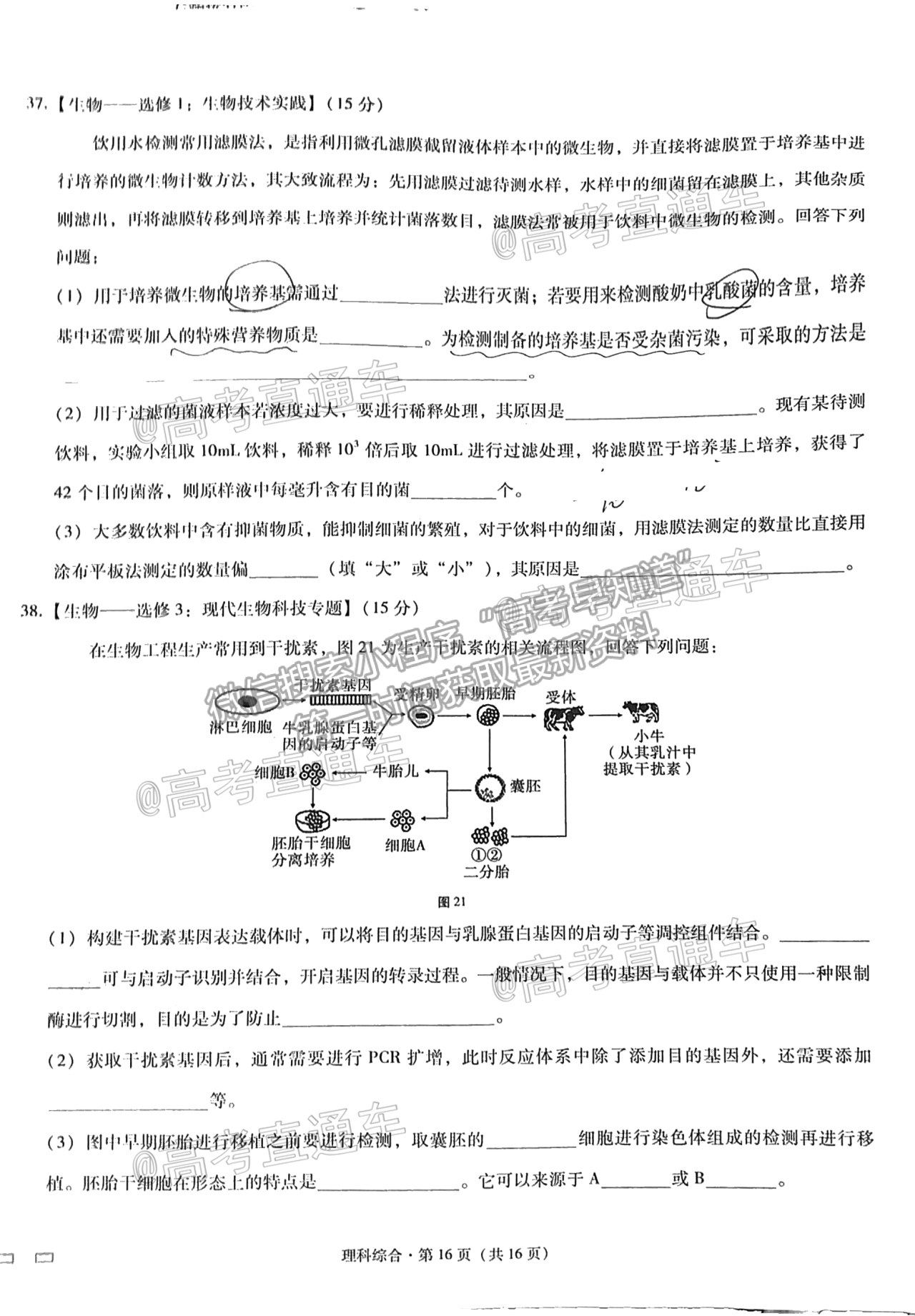 2021云南民族中學(xué)月考八理綜試題及參考答案