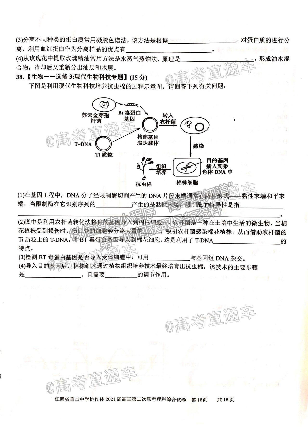 2021江西九校高三5月聯(lián)考理綜試題及參考答案