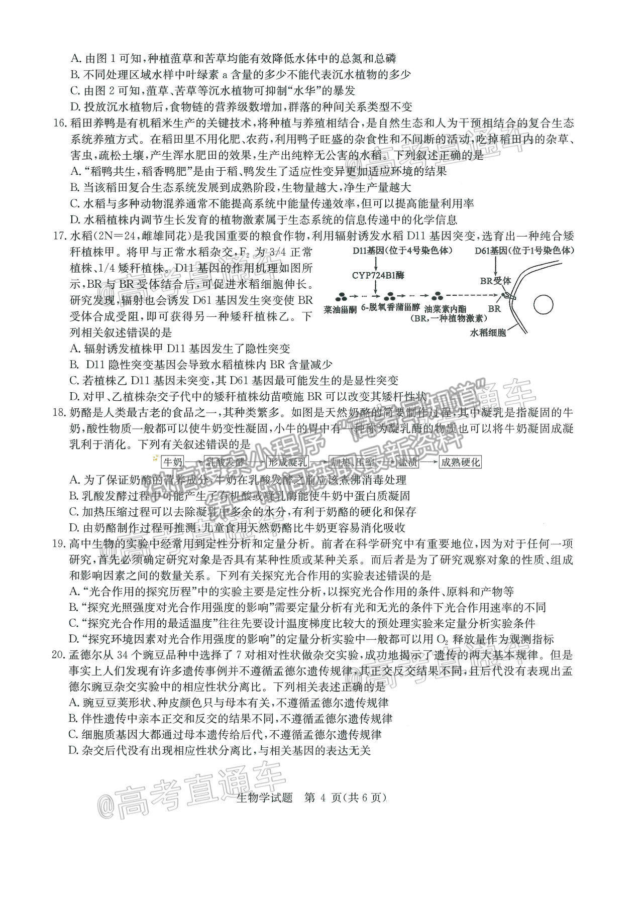 2021華大新高考聯(lián)盟高三名校押題卷新高考卷生物試題及參考答案