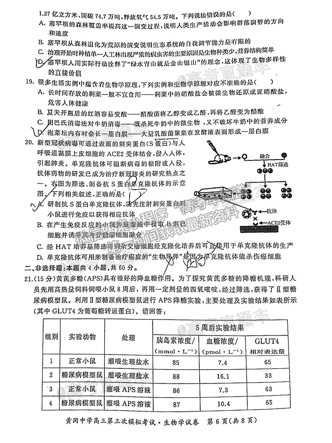 2021湖北黃岡中學(xué)高三第三次?？忌镌囶}及參考答案