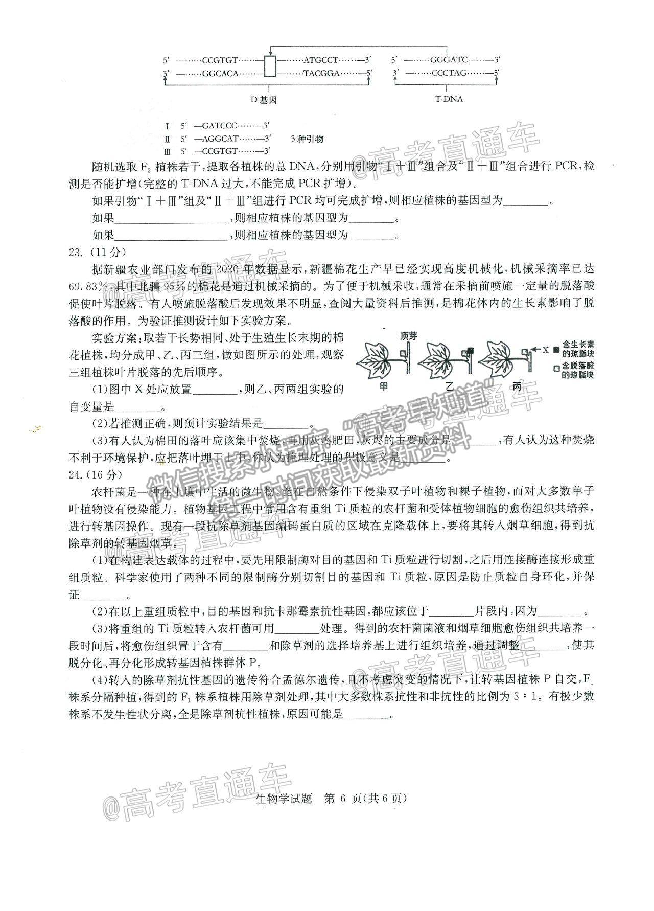 2021華大新高考聯(lián)盟高三名校押題卷新高考卷生物試題及參考答案