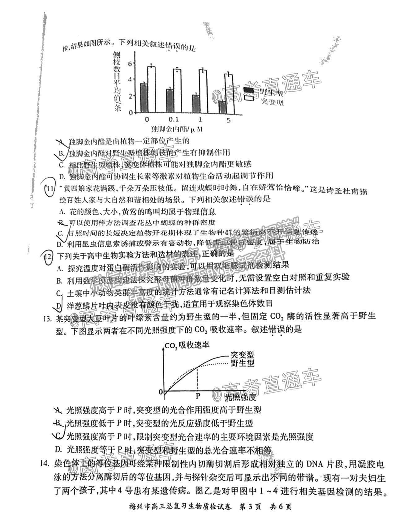 2021梅州二模生物試題及參考答案