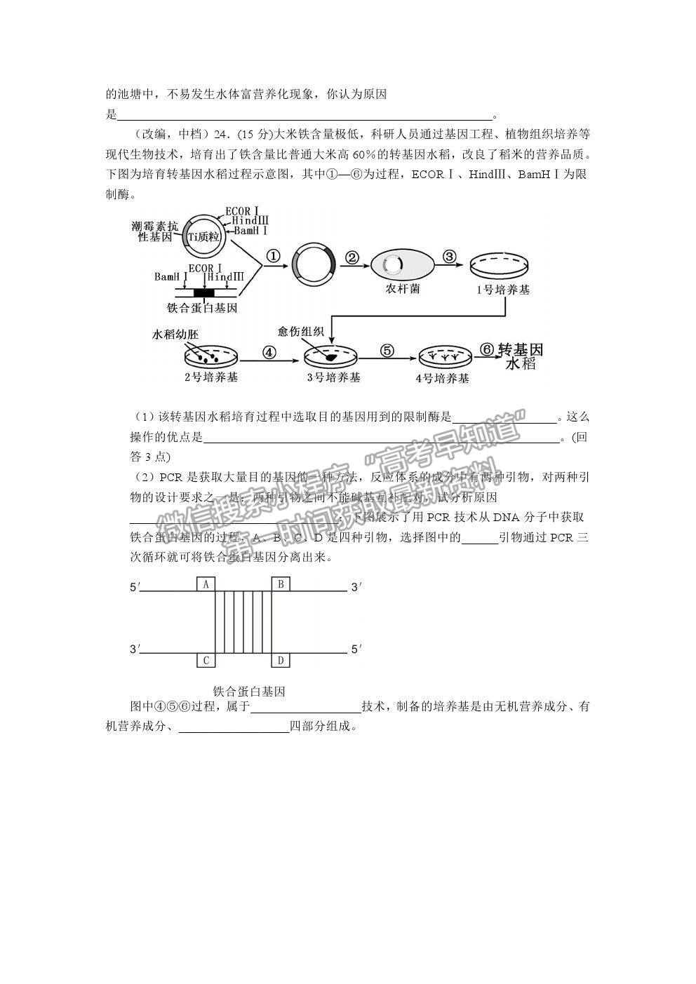 2021湖北省部分重點(diǎn)中學(xué)高考沖刺聯(lián)合押題一生物試題及參考答案