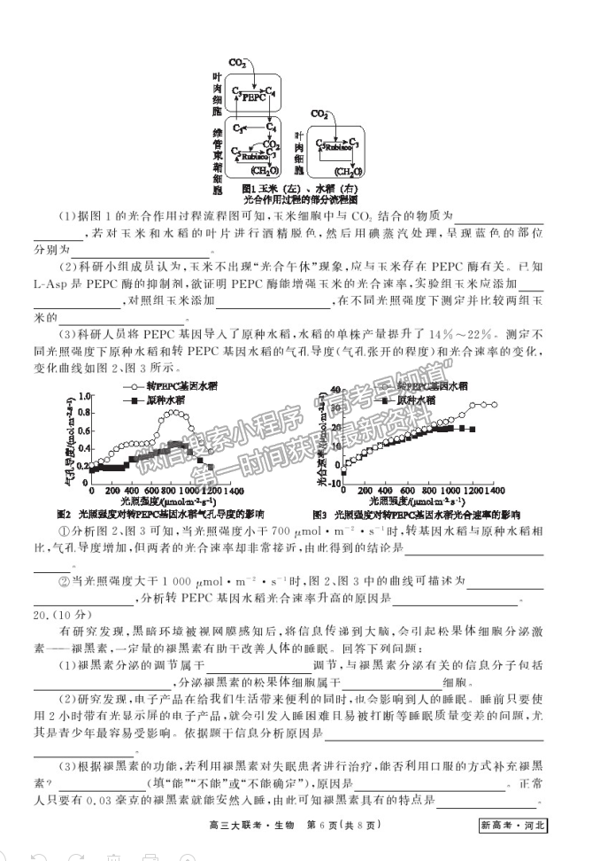 2021河北高三衛(wèi)冕聯(lián)考生物試題及參考答案