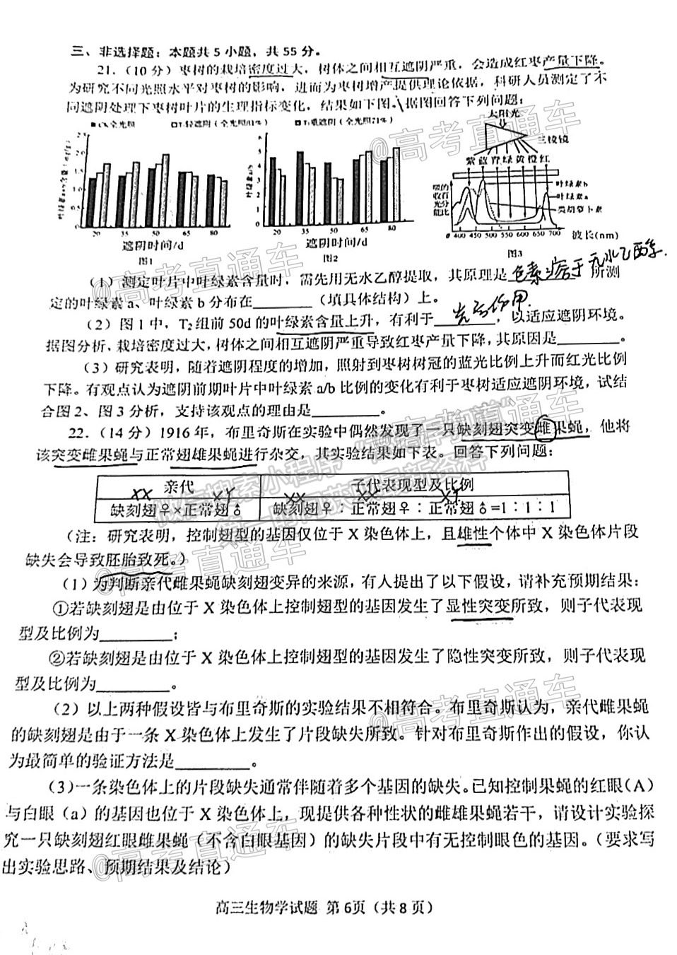 山東省日照市2021屆高三三模生物試題及參考答案