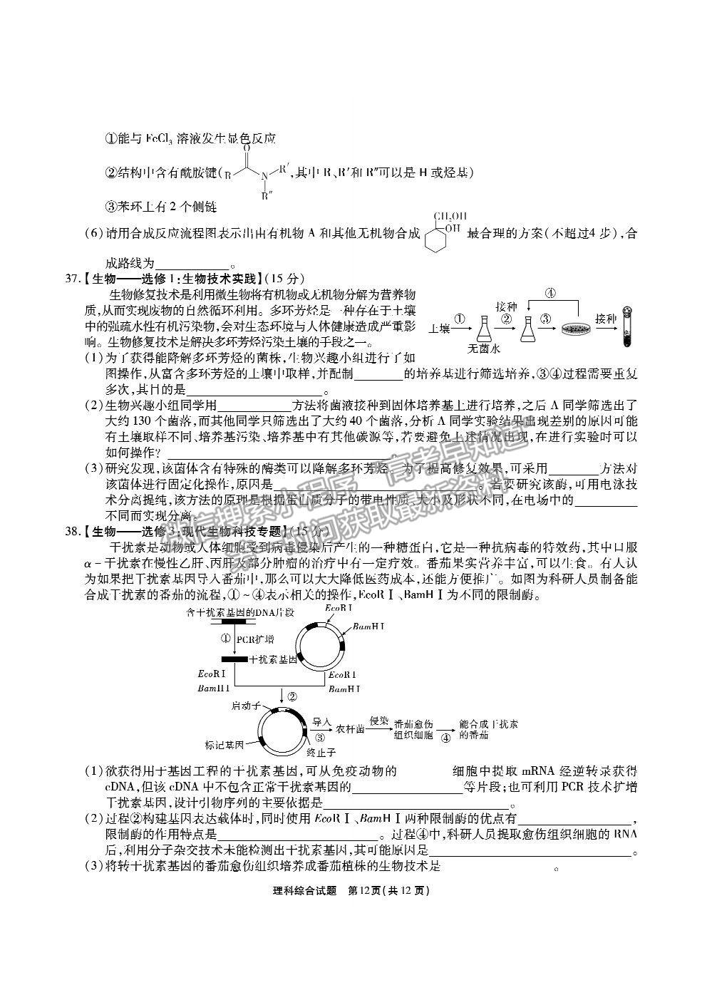 2021合肥市一六八中學高三5月最后一卷理綜試題及答案