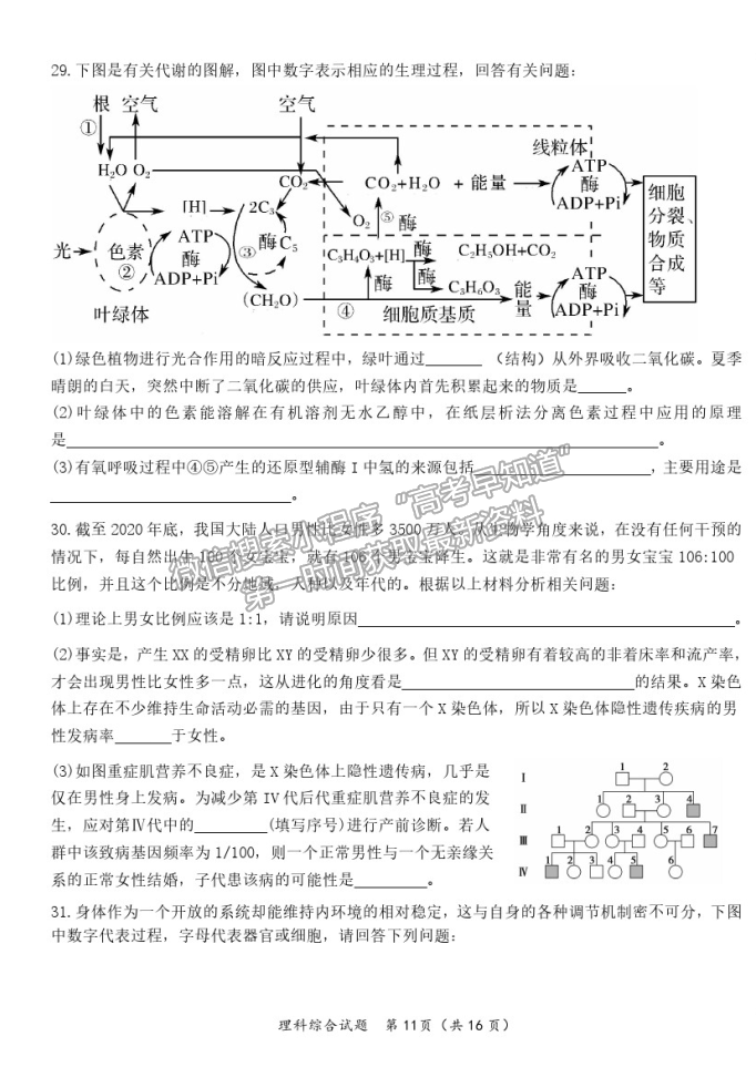 2021哈爾濱六中高三五模理綜試題及參考答案