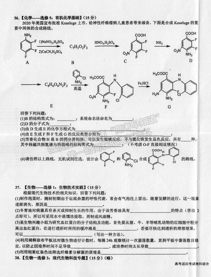 2021成都樹德中學(xué)高考適應(yīng)性考試理綜試題及答案