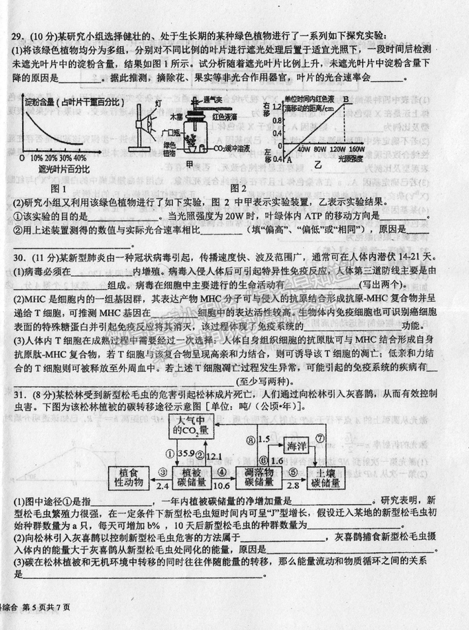 2021成都樹德中學(xué)高考適應(yīng)性考試理綜試題及答案