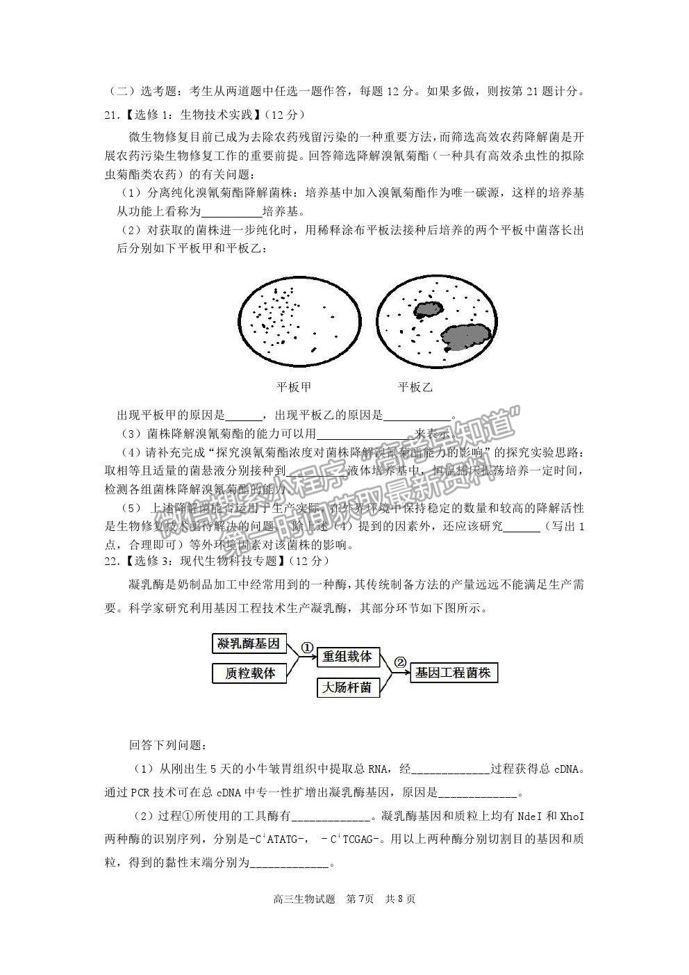 2021佛山市石門中學(xué)高三高考模擬生物試題及參考答案