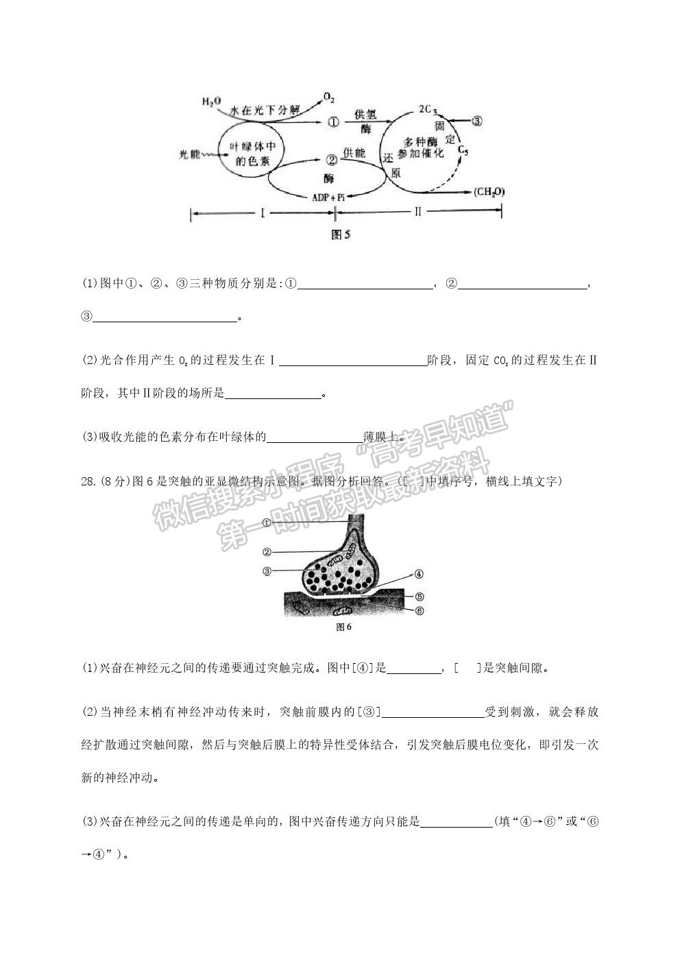 2020年6月福建省高中学业水平合格性考试生物试题及参考答案