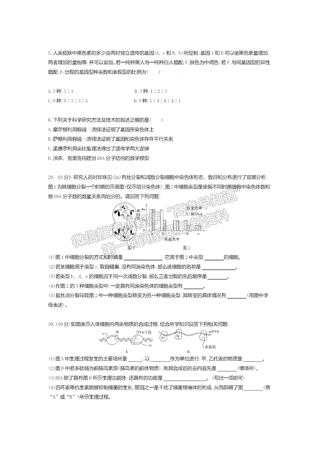 2021四川四校聯(lián)考高一6月月考生物試卷及答案